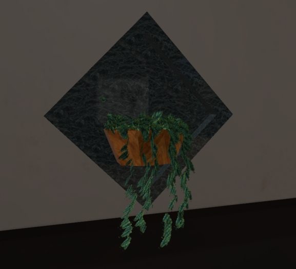 Ivy Plant 