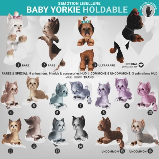 SEmotion Libellune Baby Yorkie Holdable COMMON 06