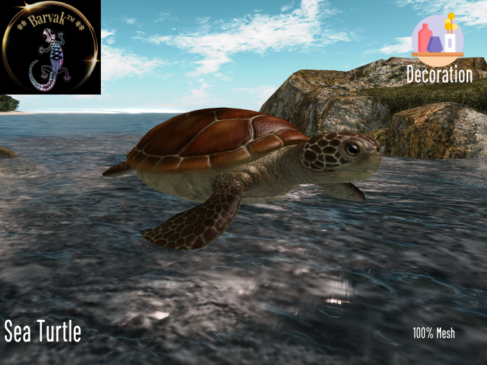 BARVAK - Sea Turtle - Decoration - Add to unpack