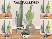 {what next} Oasis Bloom Planters  - Set of 3
