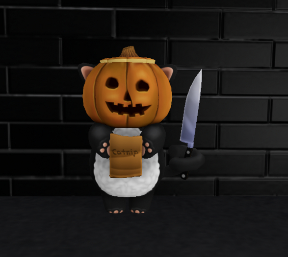 Halloween Cat