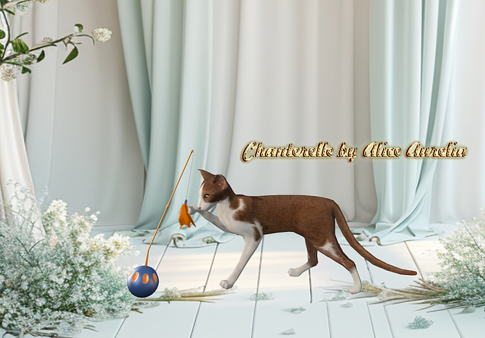 10-Mutresse-Dobby Cats