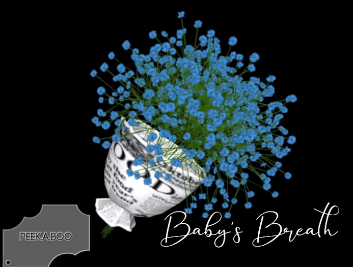 p-a-b baby's breath blue