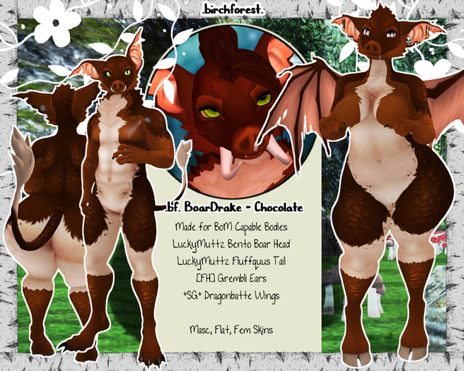 .bf. BoarDrake [Chocolate]