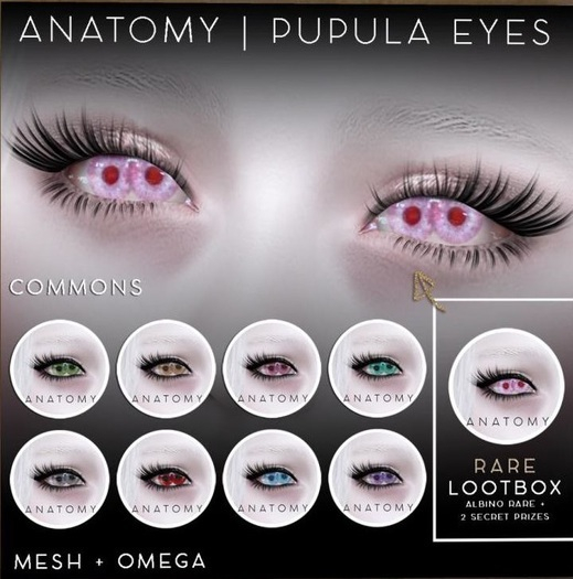 ANATOMY - PUPULA EYES - RARE LOOTBOX