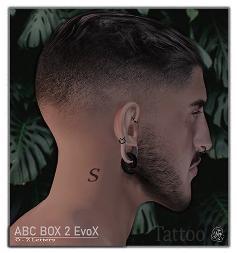 :: H4 // ABC Neck Evo X Tattoo Box 2 ::