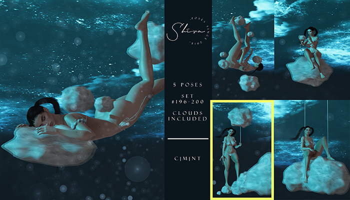 shiva poses set #199