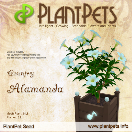 PlantPet Seed [Alamanda *Country*]