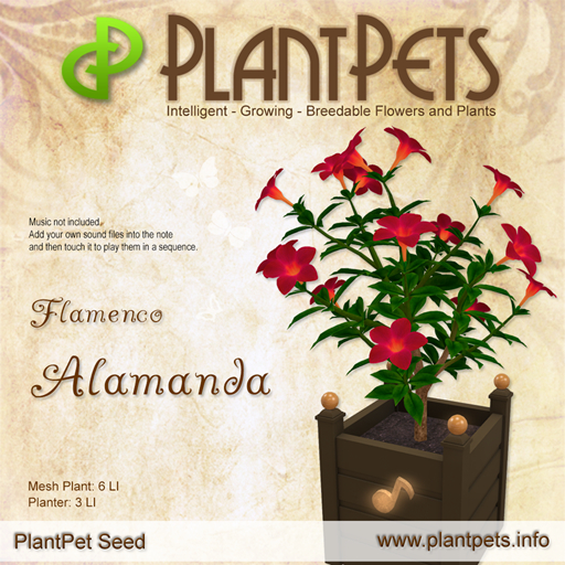 PlantPet Seed [Alamanda *Flamenco*]