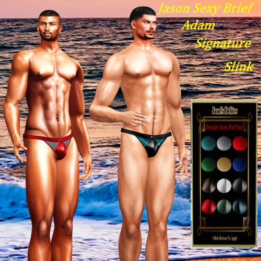 JASON SEXY BRIEF