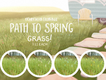 MishMish - Spring Grass [Fatpack] (grass only)