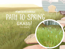 MishMish - Spring Grass - Blue Flowers [Boxed] (grass only)
