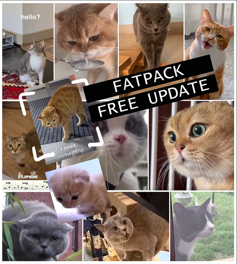 *aya Looper Cat Songs - Fatpack  