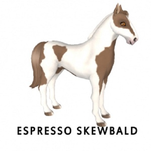 Espresso Skewbald M