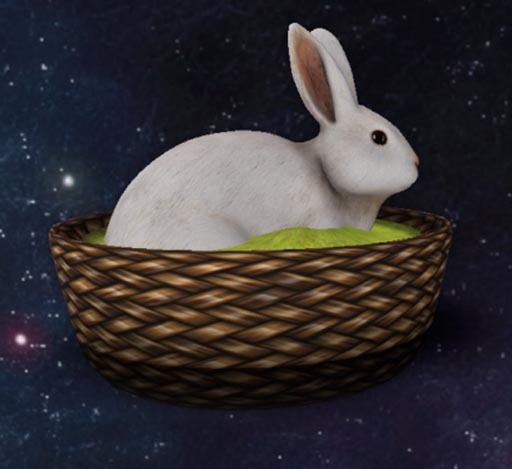 Foxtrot Bun-E  Butterflies Yellow - F