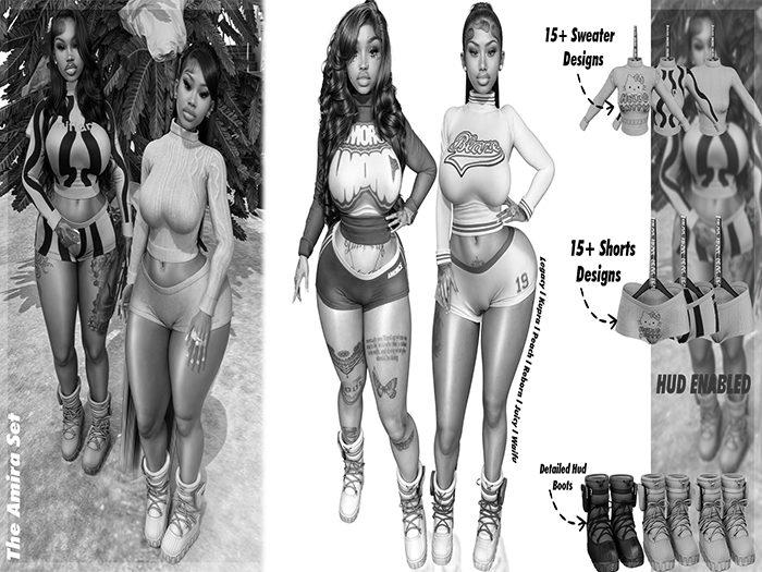 {WSI} Amira DEMO