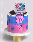 SKVOSTbaby - Clue Gender Reveal Cake - Fatpack (MyStory)