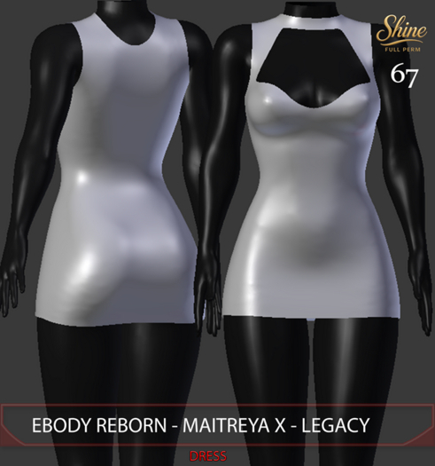 [SHINE FULL PERM] 67