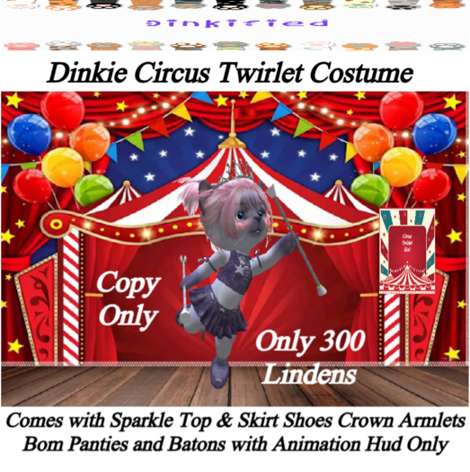 300 Dinkied Dinkie Circus Twirlet Performer   Costume
