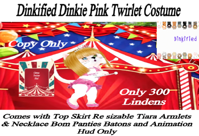 300 Dinkie  Circus  Pink Twirlet Performer   Costume
