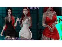 Galagher - Blue Fatpack