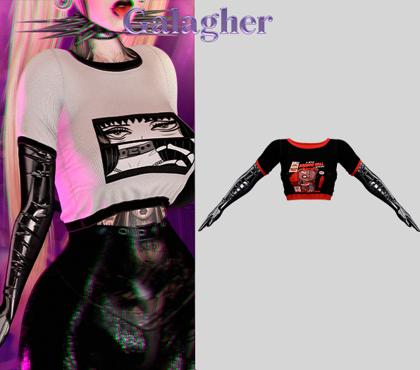 Galagher - Sanda Edition 5