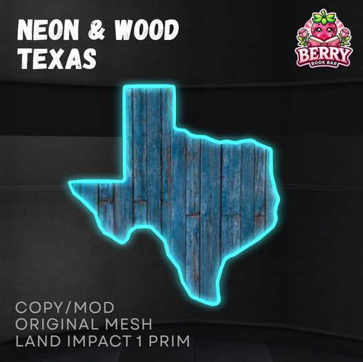 Neon & Wood Texas