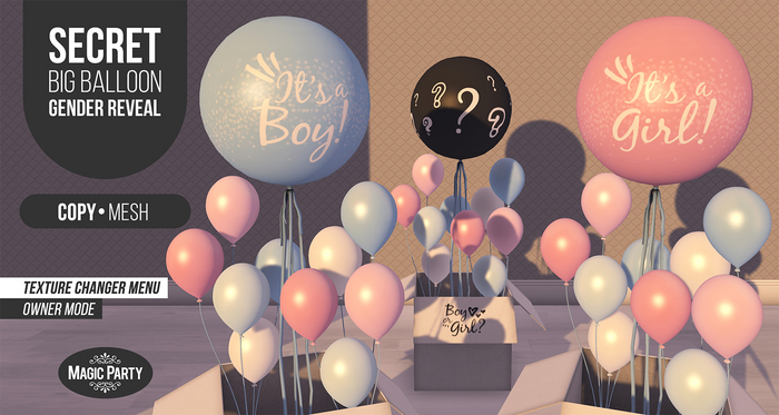 Secret Big Balloon [Gender Reveal]