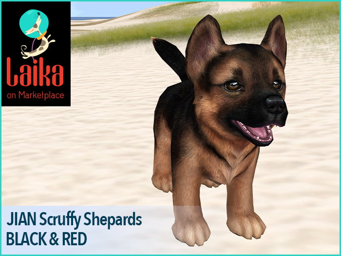 JIAN Scruffy Shepherds 4. Companion Red Black