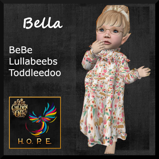 H.O.P.E. Bella Nightgown Corgi Roses