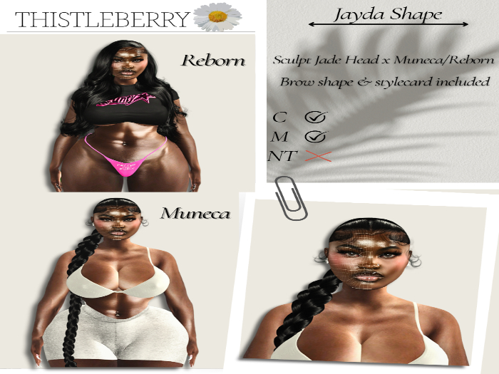TB- Jayda Shape ( Muneca/Reborn Body x Sculpt Jade Head)