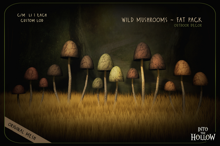 {ITH} Wild Mushrooms ~ FAT PACK (5 Colors)