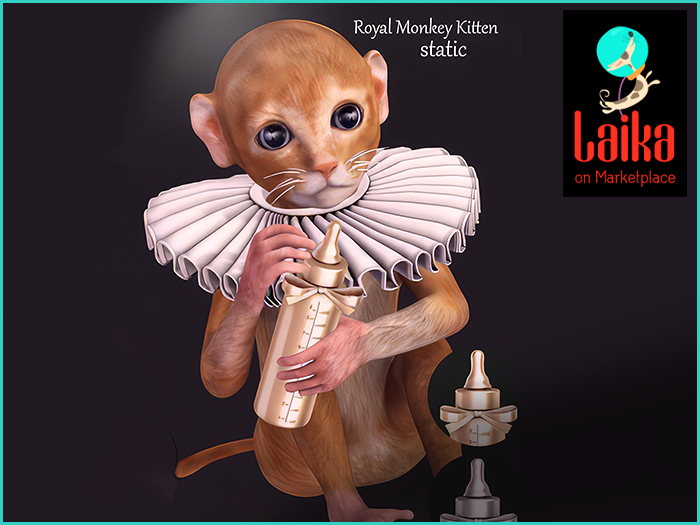 *[BB] Royal Monkey Kitten Silver (collectors Item)
