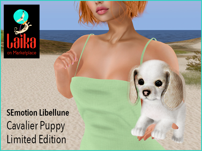 SEmotion Libellune Cavalier Puppy Holdable LIMITED