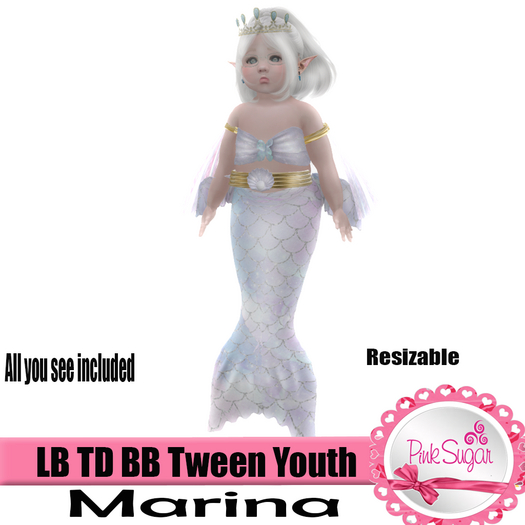 PS Mermaid Marina BOX