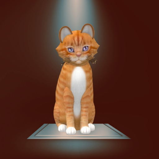 KittyCatS Box - 9T M Euro Shorthair Ginger Snap RockAmethyst