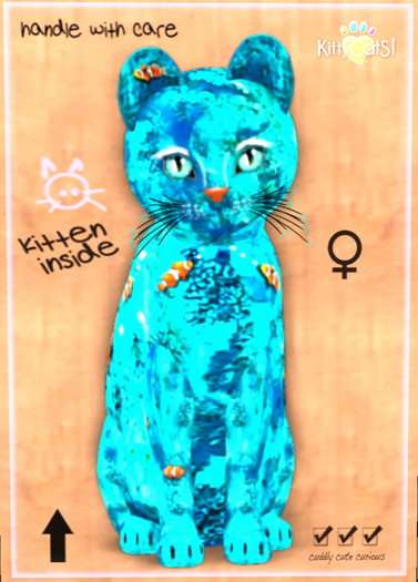KittyCatS Box - Endless Summer 2021 9TF Australian Mist - Ginge