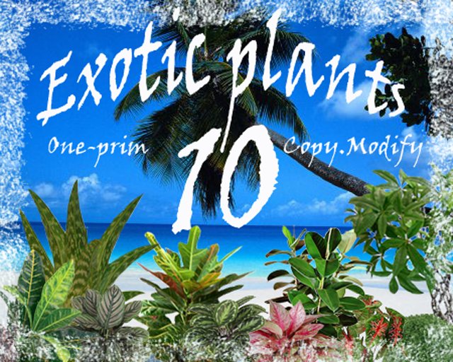 Exotic plants part 1