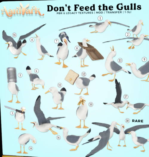 Aardvark Seaguls