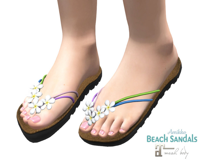 Maitreya Flip Flops