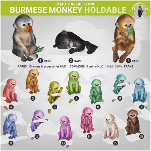 12. SEmotion Libellune Burmese Monkey Holdable
