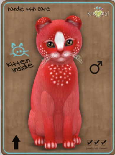 KittyCatS Box -  Confetti - CherryBerry Male