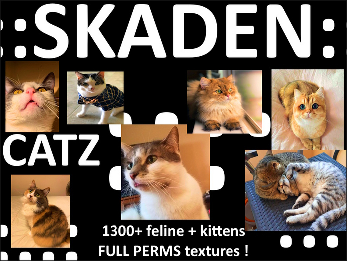 SKADEN -.- Feline cats and kittens 1300+ full perms textures