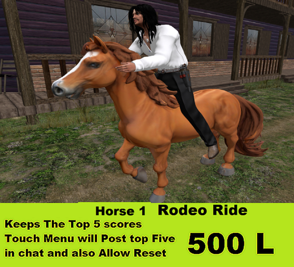 Horse 1 Rodeo Ride 2025