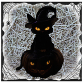 Black Cat on Jack-o'-lantern Pumpkin