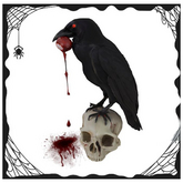 Raven on Skull with Eyeball