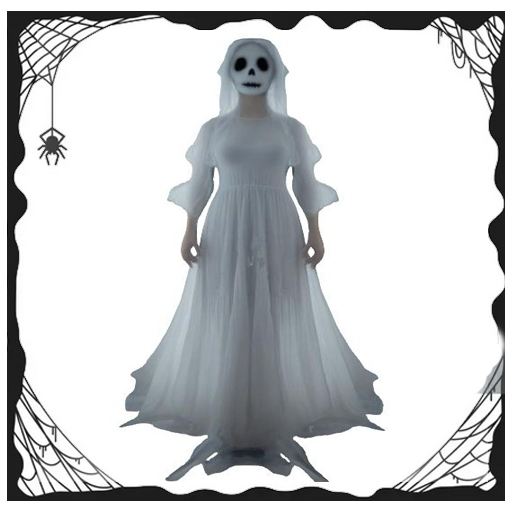 Ghost Fading Bride Sally