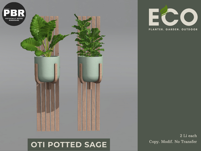 Eco - Oti Potted Sage