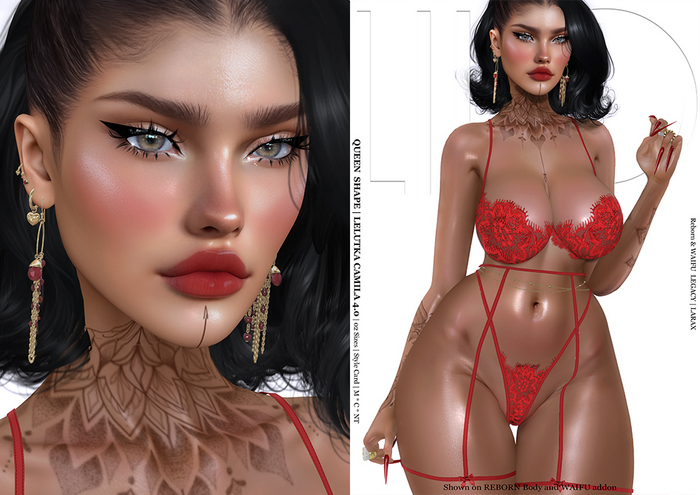 [LILO's FIT] Shape Lel EVOX Camila 4.0 [FATPACK] Queen