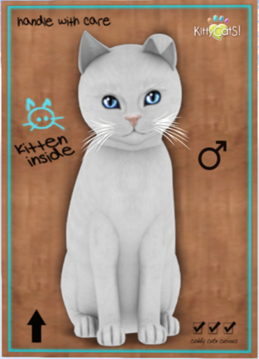 KittyCatS Box - Russian - White